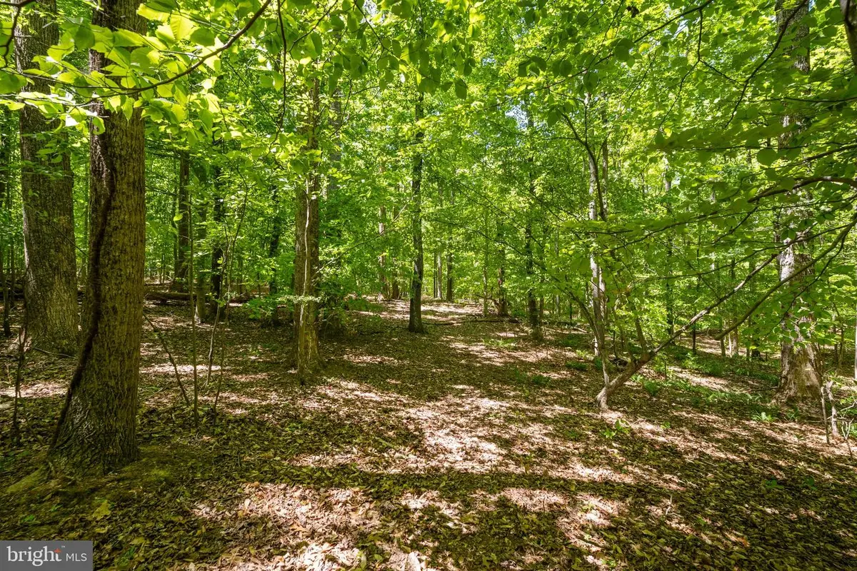 Letcher Rd E, Brandywine, MD 20613 - #1