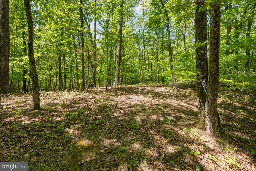 Letcher Rd E, Brandywine, MD 20613 - #2