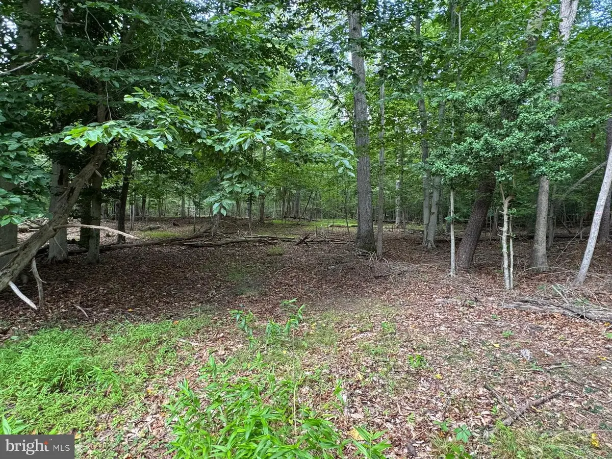 1901 Accokeek Rd W, Accokeek, MD 20607 - #1