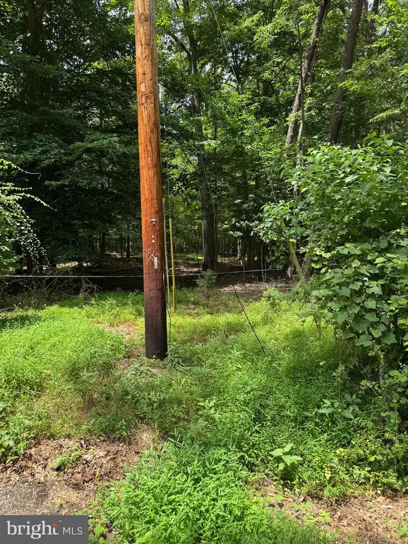 1901 Accokeek Rd W, Accokeek, MD 20607 - #2