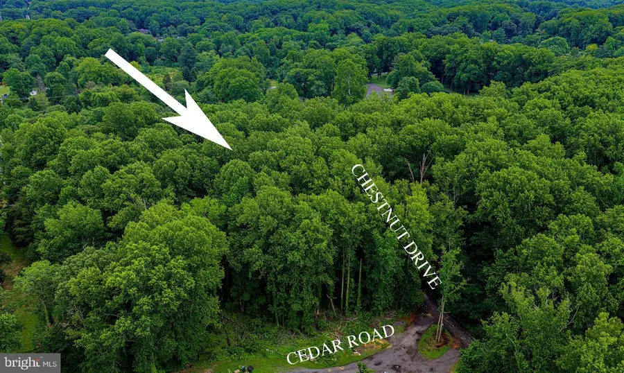 6901 Cedar Rd, Bowie, MD 20720 - #2