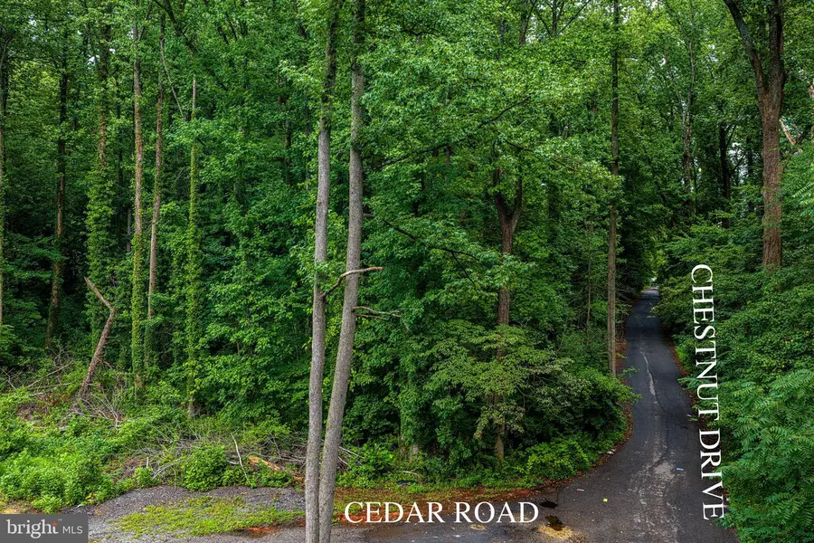 13306 Chestnut Dr, Bowie, MD 20720 - #3