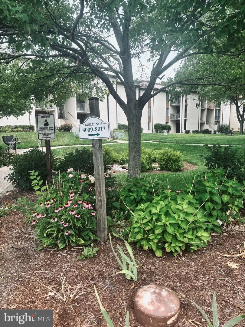 8011 Mandan Rd #203, Greenbelt, MD 20770 - #1