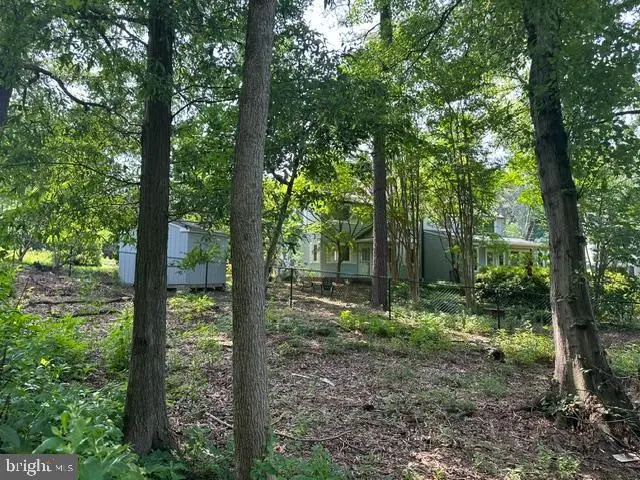 6-a Ridge Rd, Greenbelt, MD 20770 - #2
