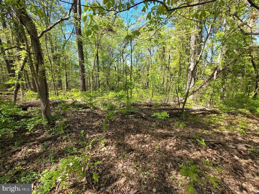 Riverdale Rd, Lanham, MD 20706 - #2