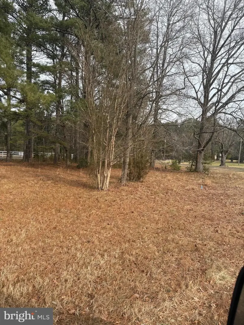 4711 Danville Rd, Brandywine, MD 20613 - #2
