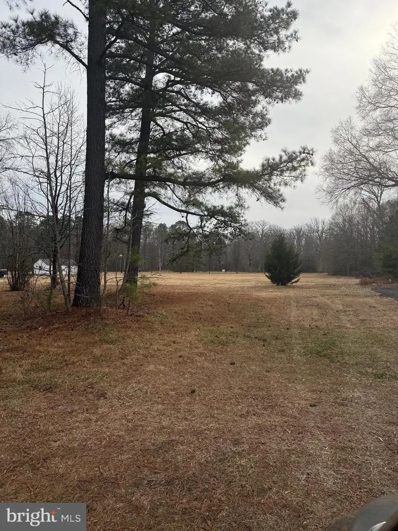 4711 Danville Rd, Brandywine, MD 20613 - #3