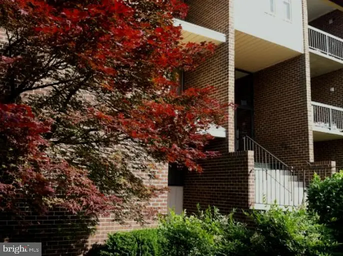 11242 Cherry Hill Road Rd #303, Beltsville, MD 20705 - #1