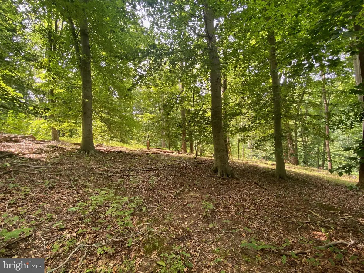 504 Holly Rd, Fort Washington, MD 20744 - #1