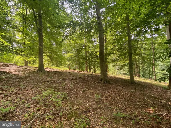 504 Holly Rd, FORT WASHINGTON, MD 20744