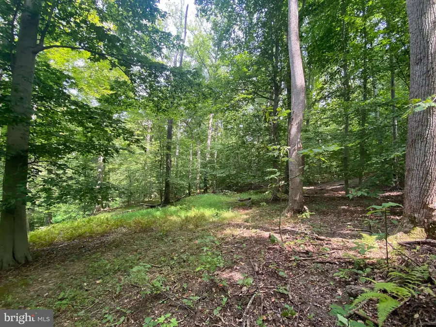 504 Holly Rd, Fort Washington, MD 20744 - #3
