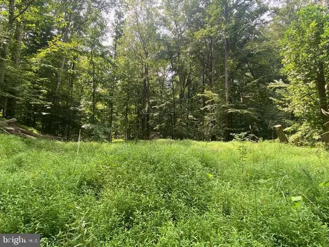 500 Holly Rd, Fort Washington, MD 20744 - #3