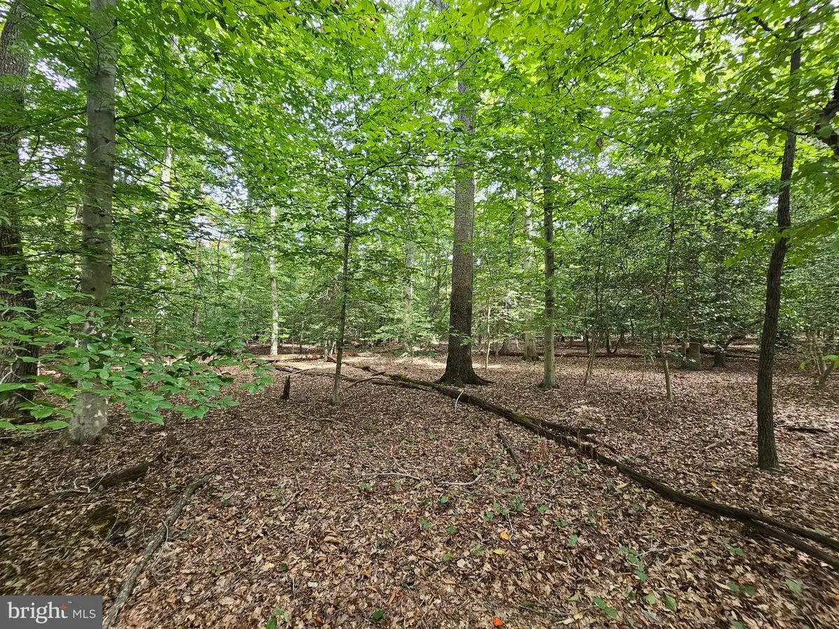 Sanford Dr, Accokeek, MD 20607 - #1