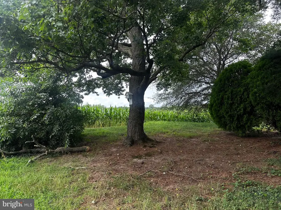 1500 Roe Ingleside Rd, Ingleside, MD 21644 - #3