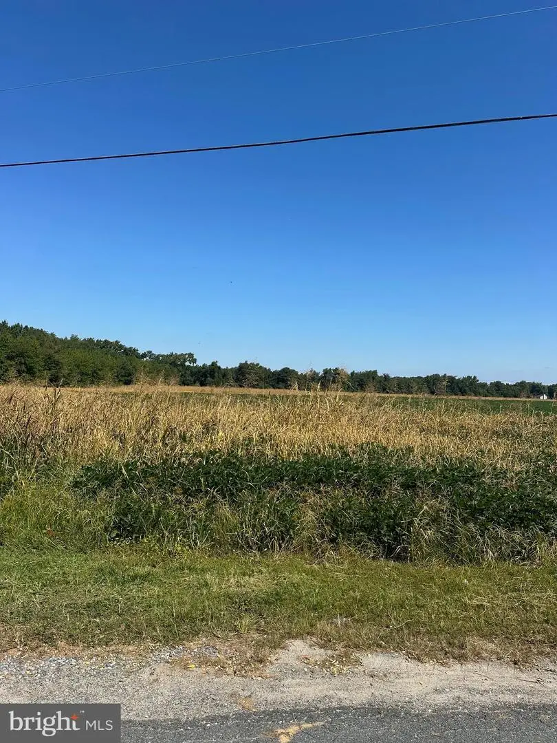 Newtown Rd, Chester, MD 21619 - Image #2