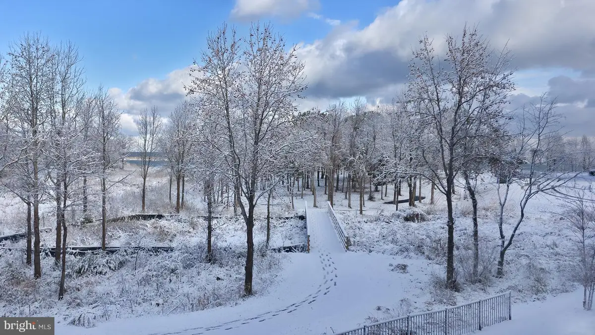 230 Switchgrass Way #21, Chester, MD 21619 - #1