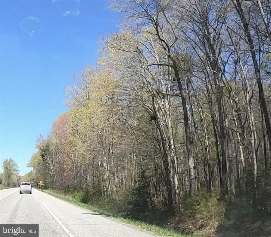 1724 Starr Rd, Queen Anne, MD 21657 - #2