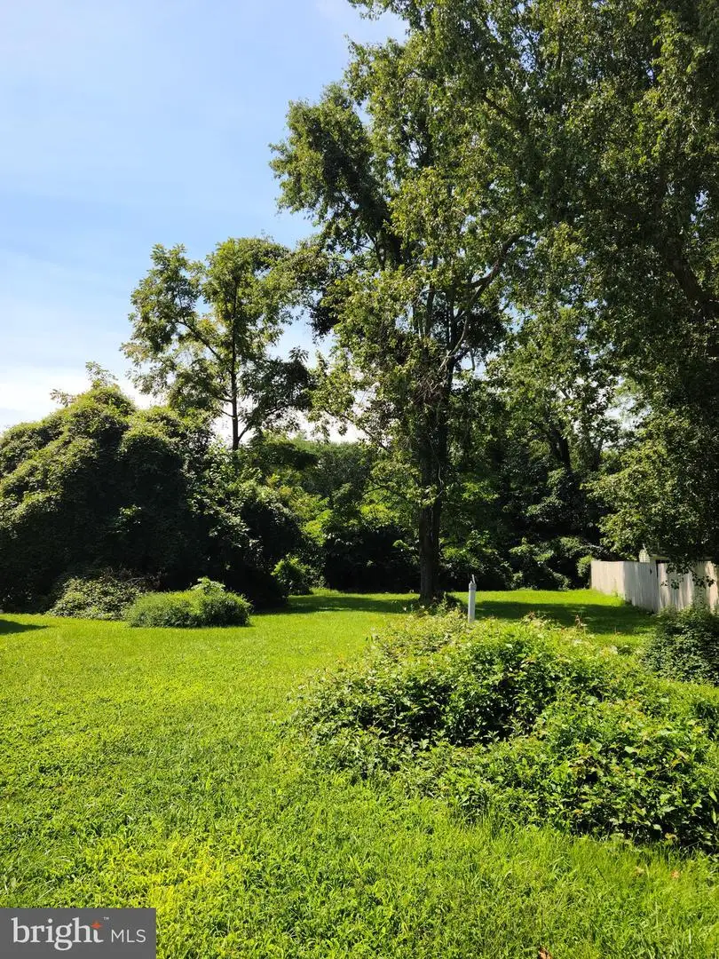 212 Little Kidwell Ave, Centreville, MD 21617 - #3