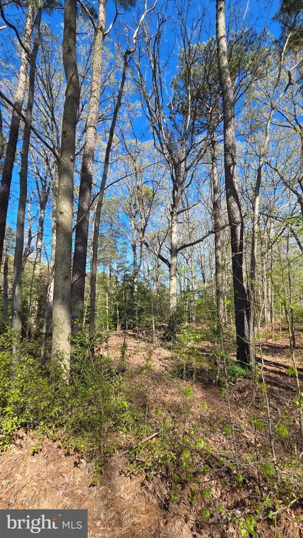 Touhey Dr, Stevensville, MD 21666 - #3