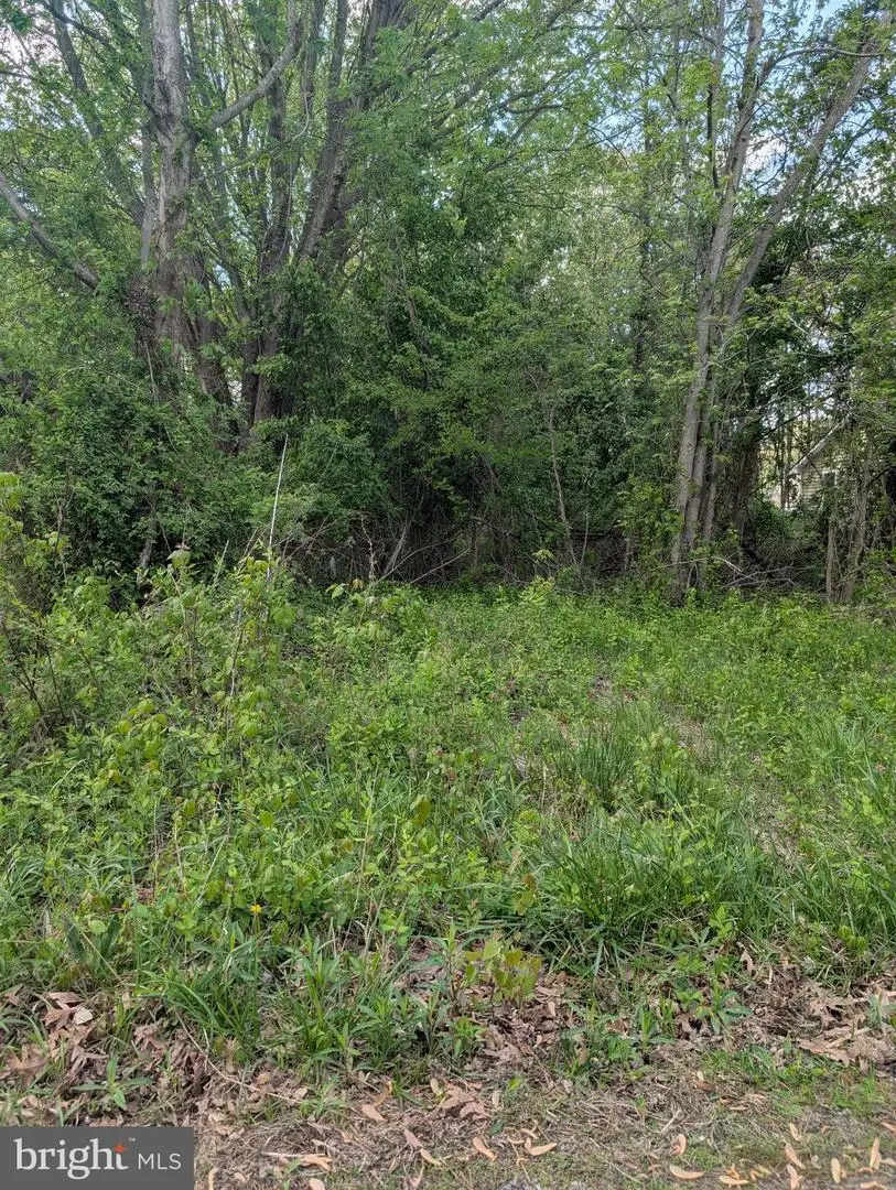 128 Long Point Rd, Stevensville, MD 21666 - #1