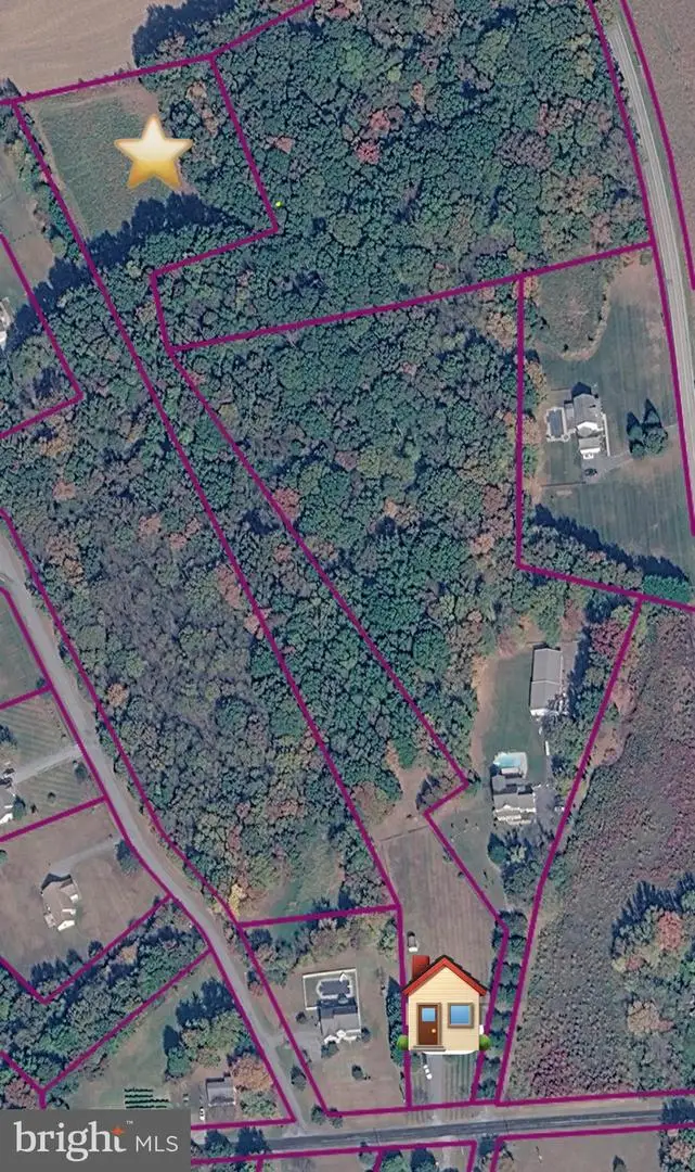913 Clark Corners Rd, Centreville, MD 21617 - #2