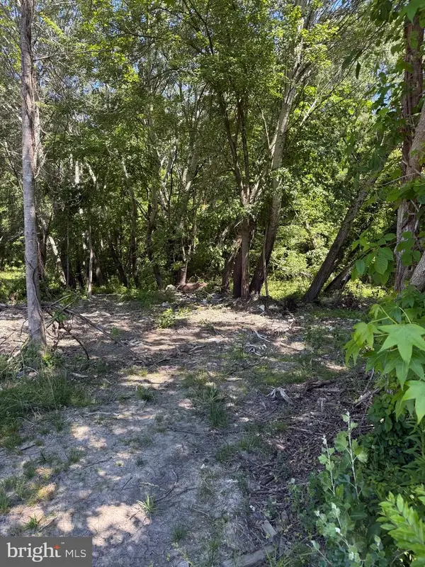 105 Barclay Cutoff Rd, BARCLAY, MD 21607