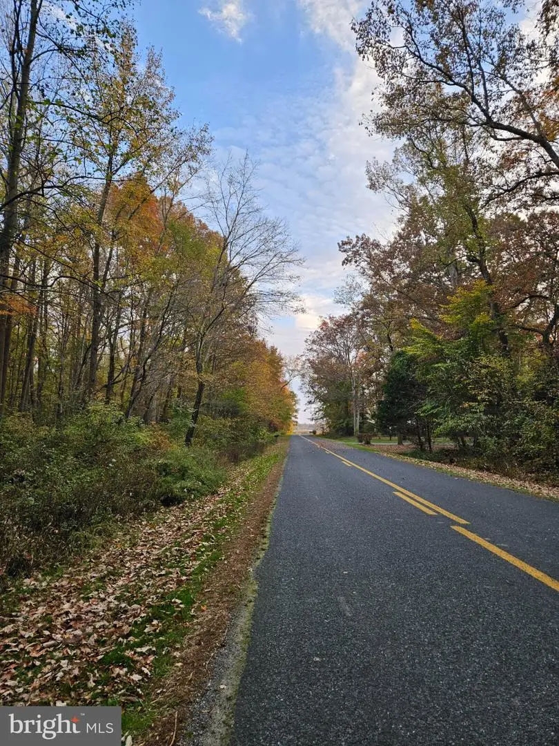 1031 Peters Corner Rd, Sudlersville, MD 21668 - #2
