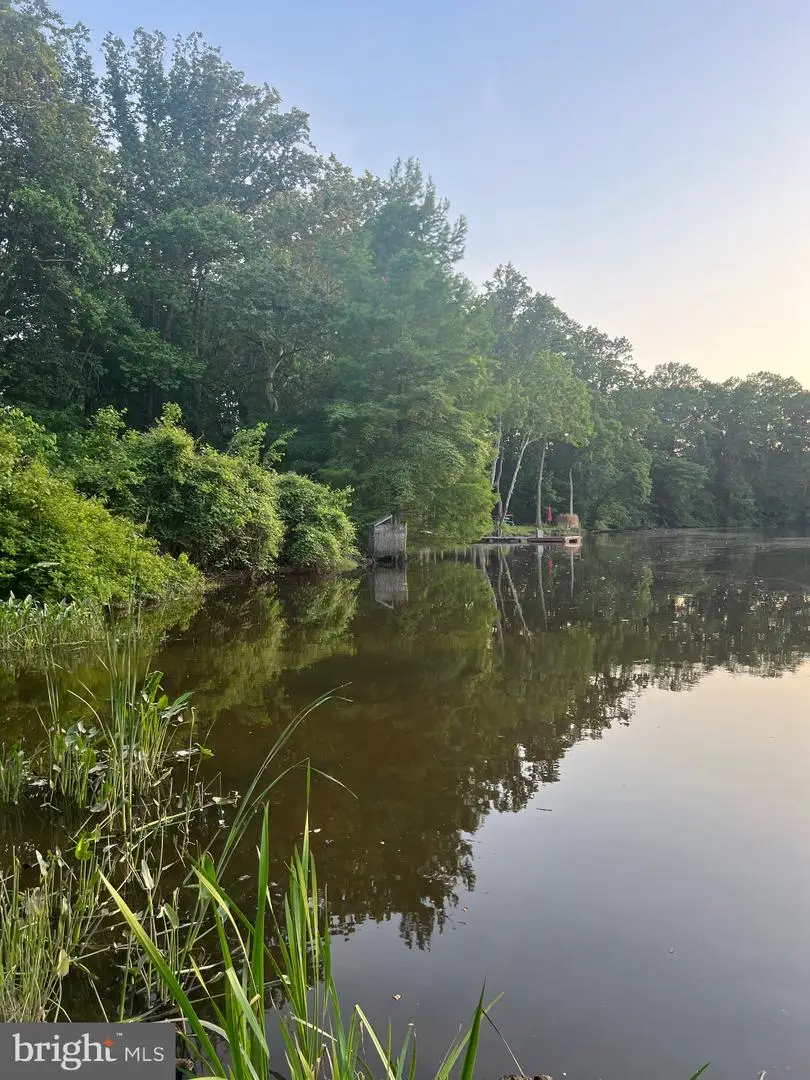 220 Kirbys Landing Rd, Millington, MD 21651 - #3