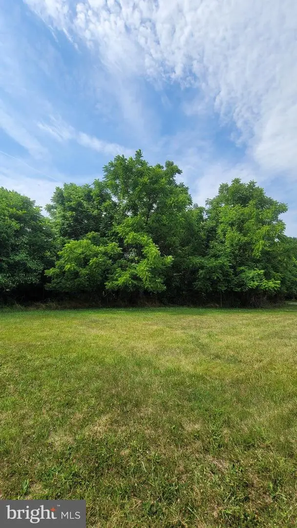 New St, Church Hill, MD 21623 - #2