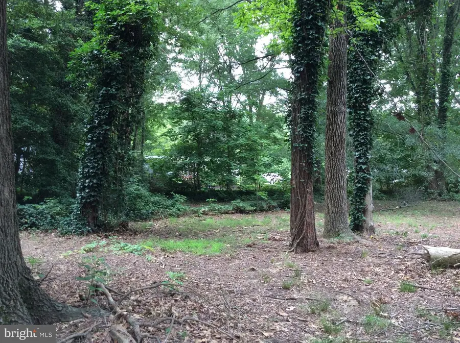 233 Merganser Dr, Chestertown, MD 21620 - #3
