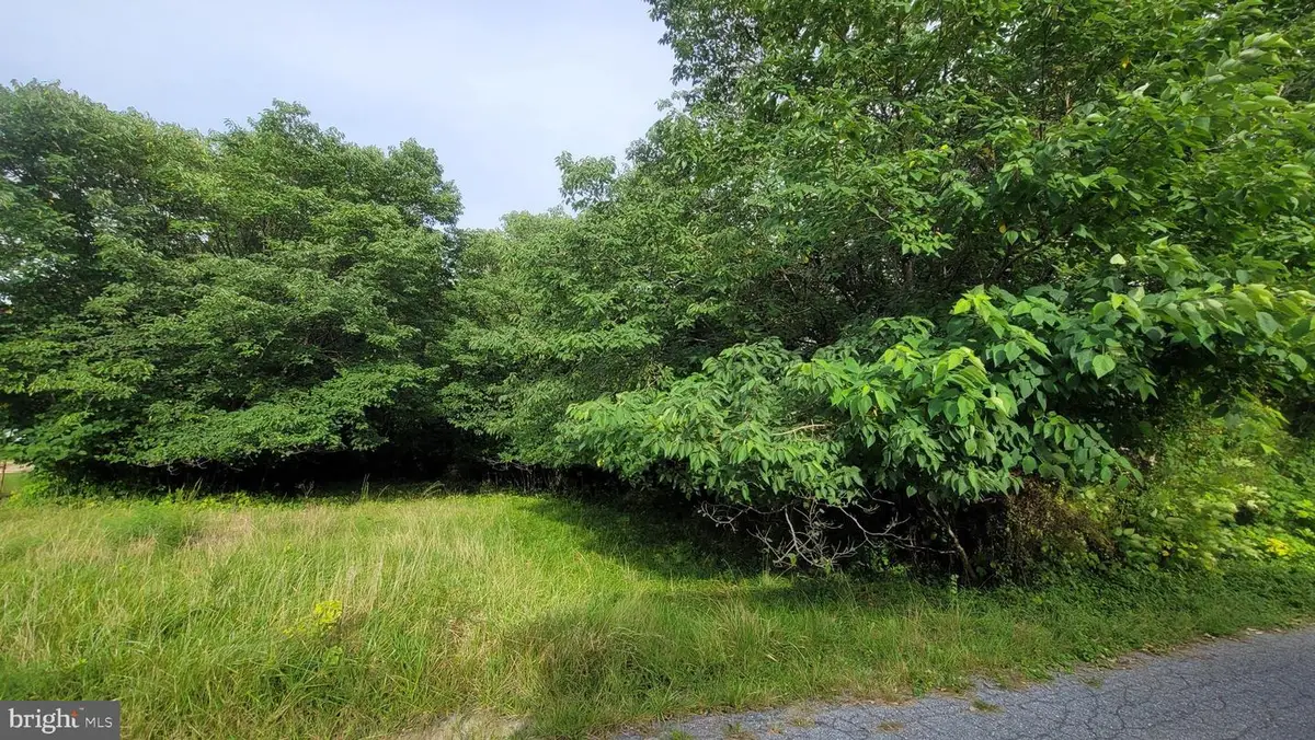 Johnstown Ln, Centreville, MD 21617 - #1