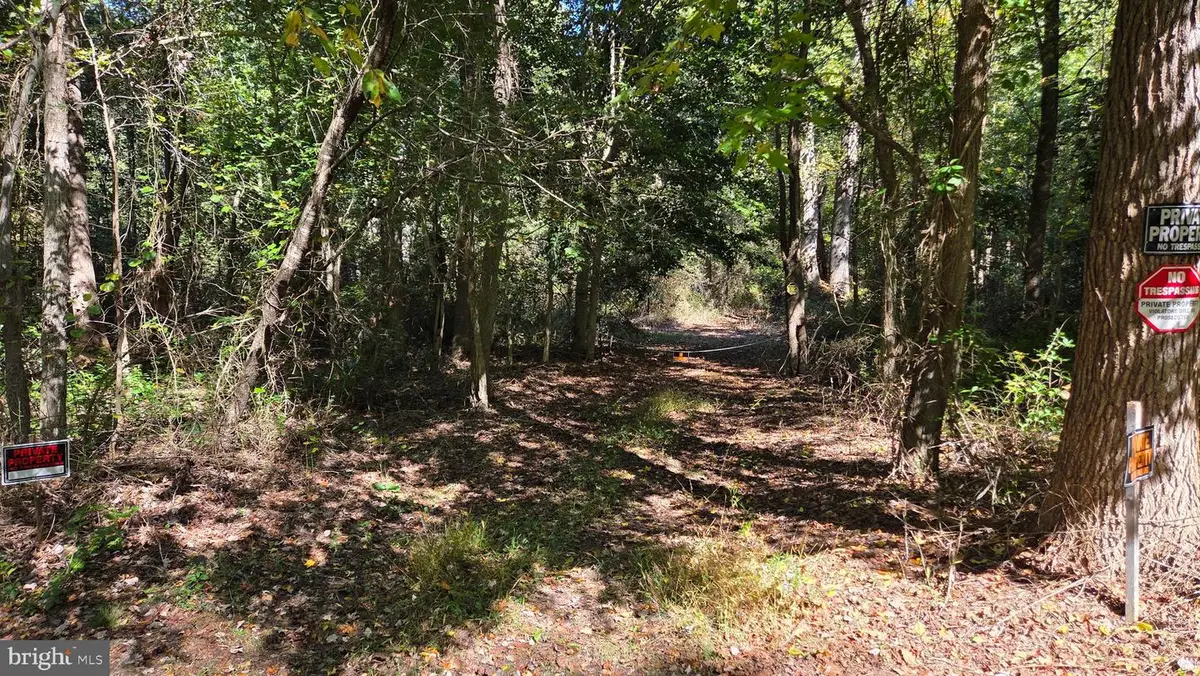 Duhamel Corner Rd, Marydel, MD 21649 - #1