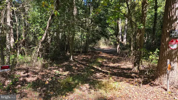 Duhamel Corner Rd, MARYDEL, MD 21649