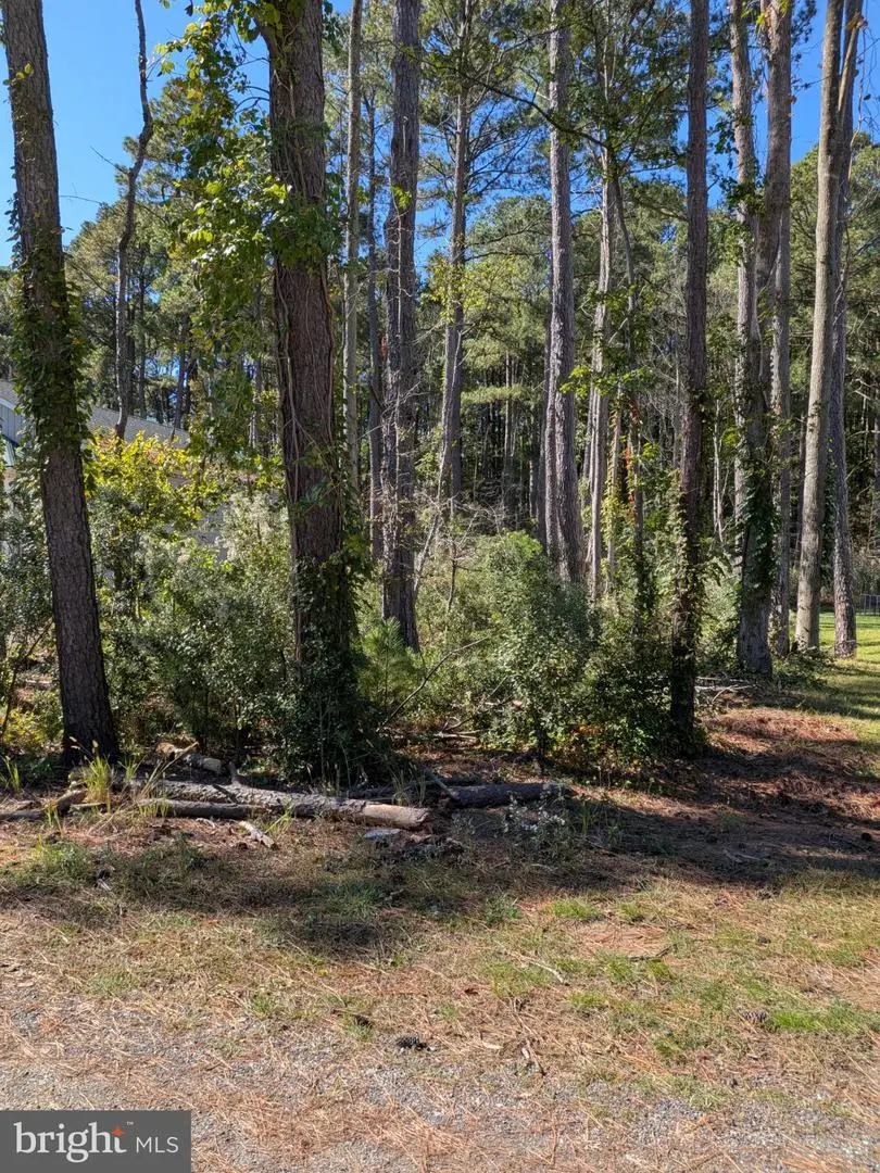 117 Cecil Rd, Stevensville, MD 21666 - #1