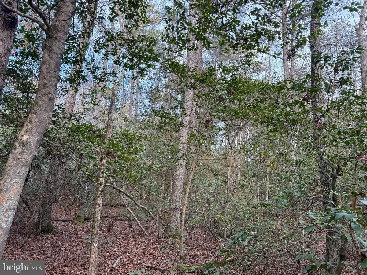 19285 Vanderhoof Ln, Valley Lee, MD 20692 - Image #1