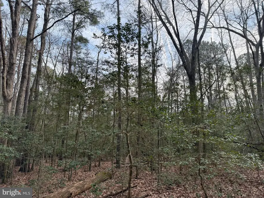 19285 Vanderhoof Ln, Valley Lee, MD 20692 - Image #2