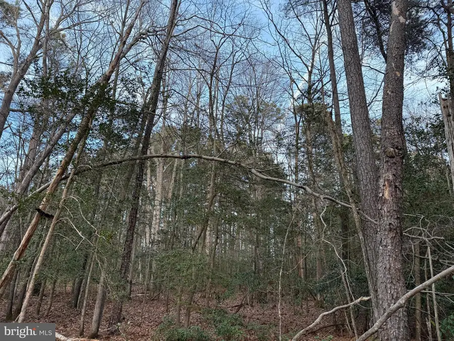 19285 Vanderhoof Ln, Valley Lee, MD 20692 - Image #3