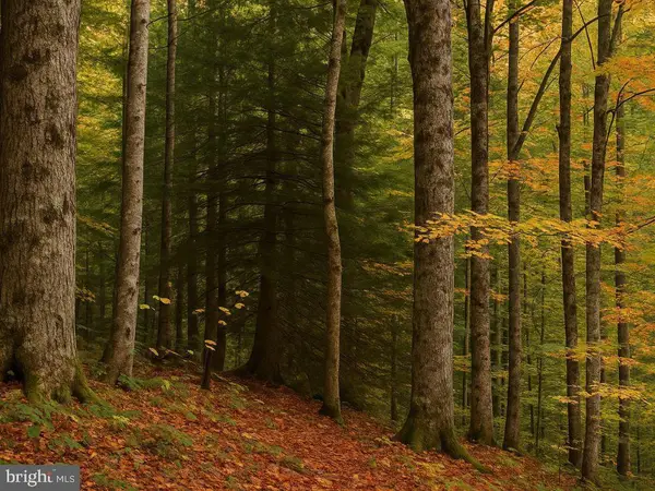 35296 Diplomat, MECHANICSVILLE, MD 20659