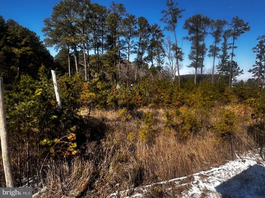 16252 Thomas Rd, Piney Point, MD 20674 - Image #3