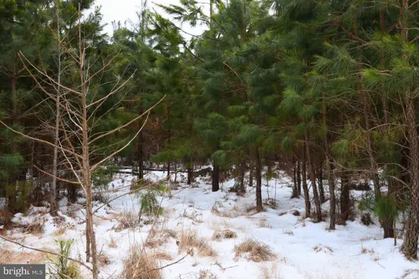 Jutland Rd, SAINT INIGOES, MD 20684