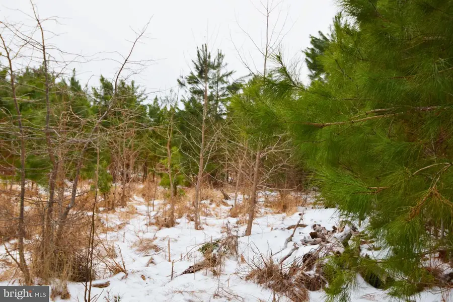 Jutland Rd, Saint Inigoes, MD 20684 - #2