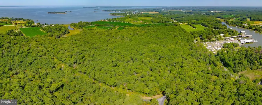 0 Waterloo Rd, Coltons Point, MD 20626 - #3