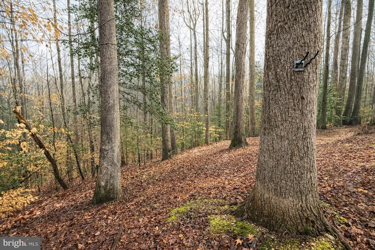 23980 Mcintosh Rd, Hollywood, MD 20636 - #1