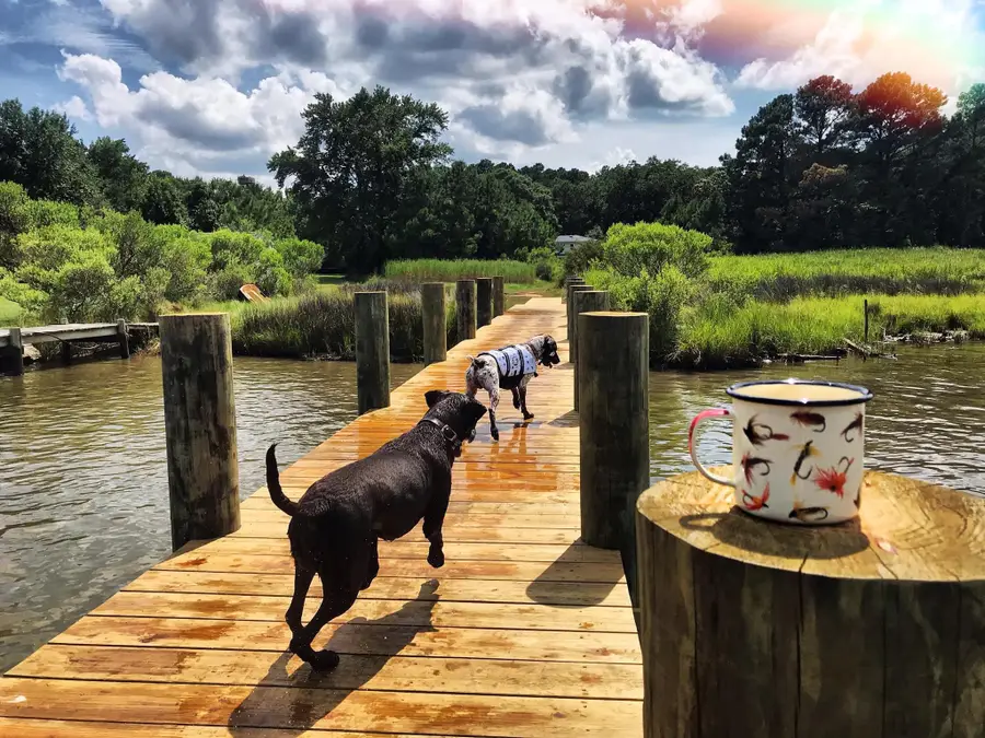 16146 Thomas, Piney Point, MD 20674 - #3