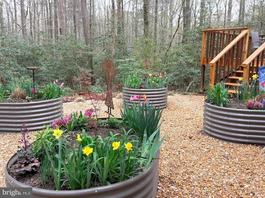 24990 Morgan Rd, Hollywood, MD 20636 - #2