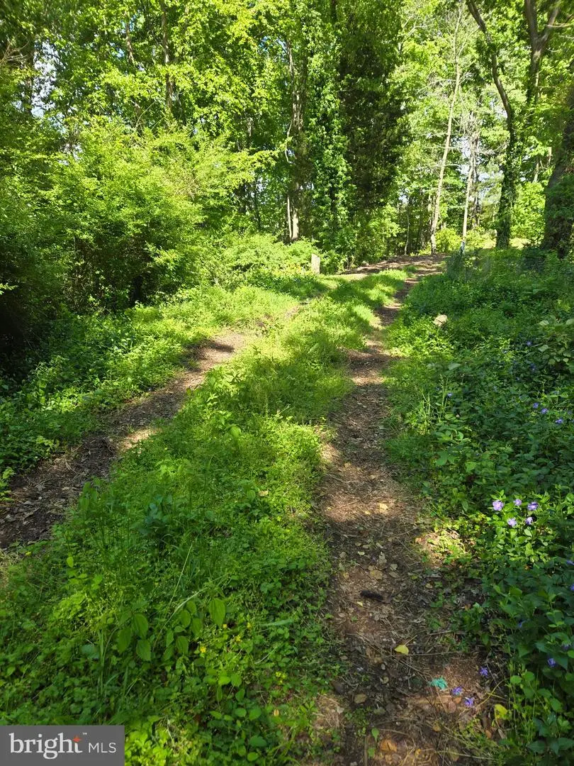 Lot 3 Seaside Ln, Ridge, MD 20680 - #3