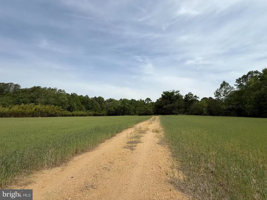 26200 Locust Grove Farm Ln, Hollywood, MD 20636 - #3