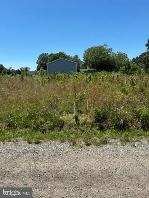 Fairview Dr, Bushwood, MD 20618 - #2