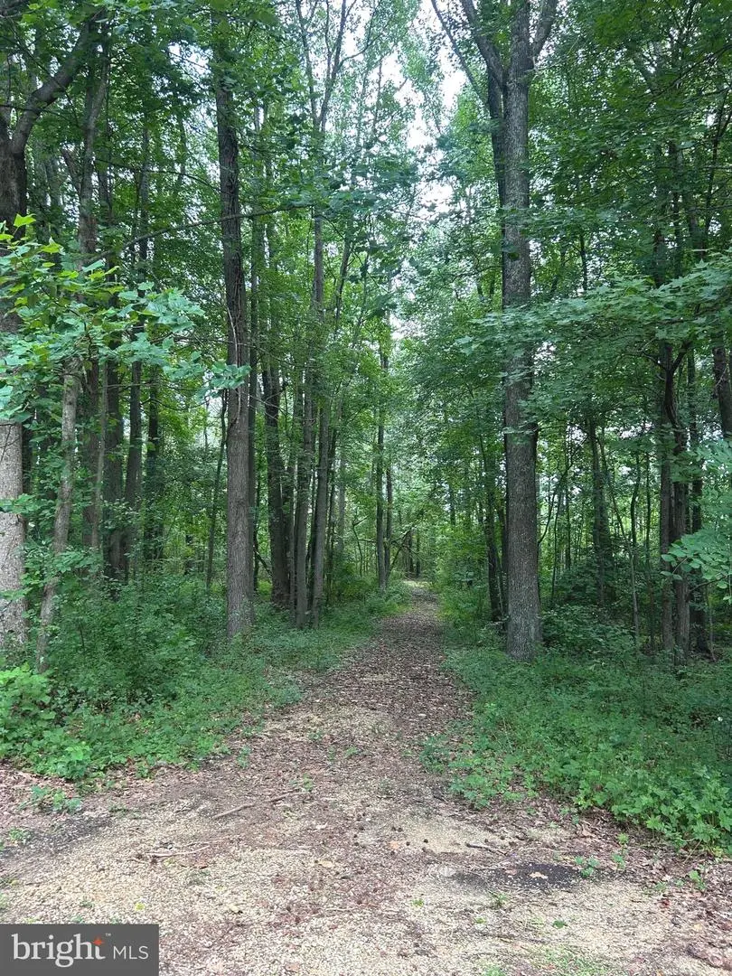 20275 Jackson Rd, Callaway, MD 20620 - #2