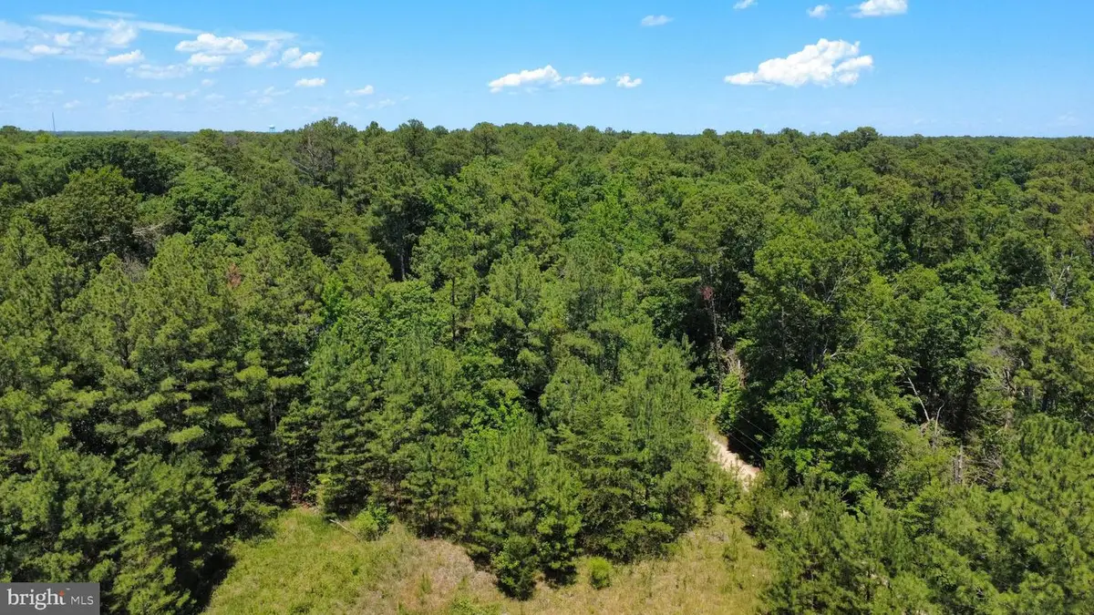 Whirlwind Rd, Leonardtown, MD 20650 - #1